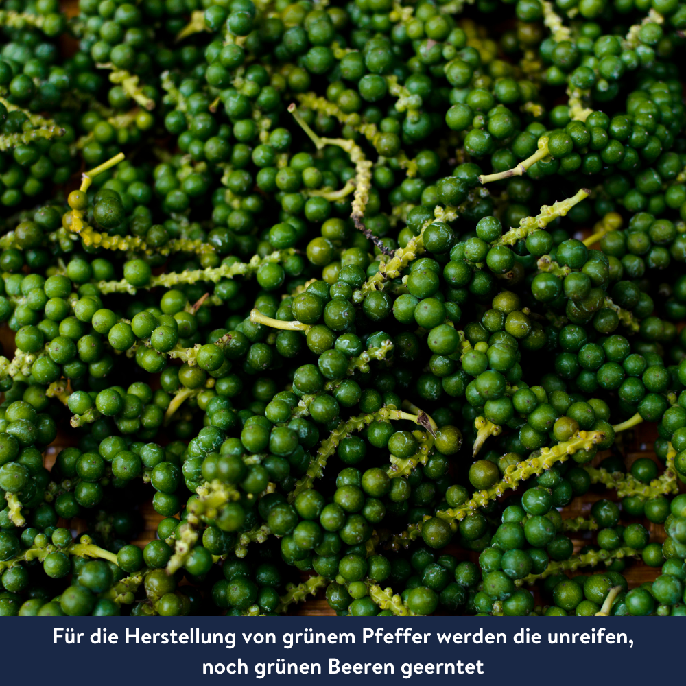 Grüner Pfeffer