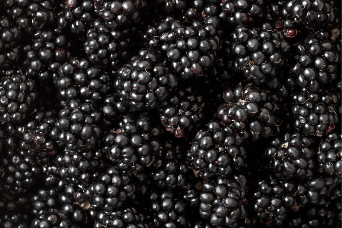 Brombeer Karotte